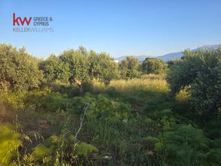 Οικόπεδο 3.054 τ.μ. πρός ενοικίαση, Ν. Χανίων, Ακρωτήρι-thumb-10