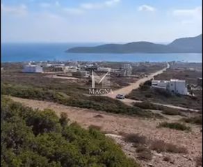 Αγροτεμάχια 6.243 τ.μ. πρός πώληση