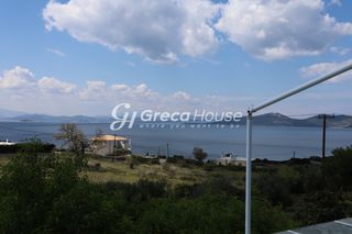 Μονοκατοικία 250 τ.μ. προς πώληση, Νέα Στύρα-thumb-2