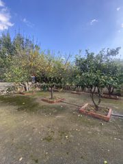 Μονοκατοικία 167 τ.μ. για πώληση, Μεσσηνία, Οιχαλία-thumb-25