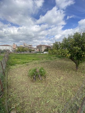Land plot 355 sqm for sale, Messinia, Meligala