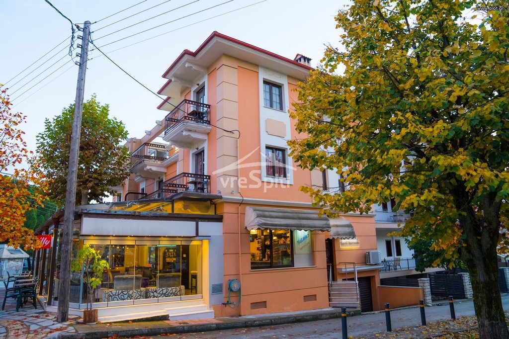 Κατάστημα 78 τ.μ. πρός ενοικίαση, Ν. Ιωαννίνων, Ιωάννινα