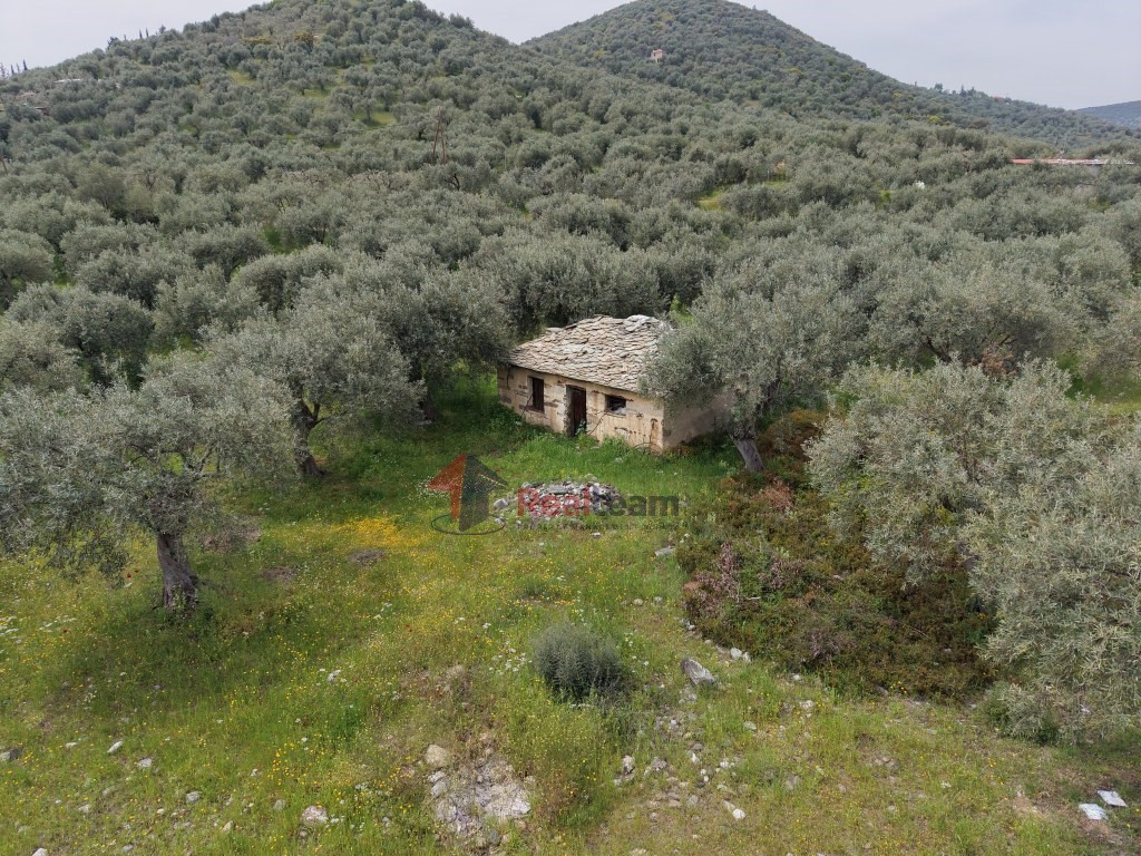 Μονοκατοικία 33 τ.μ. προς πώληση, Νέα Ιωνία Βόλου