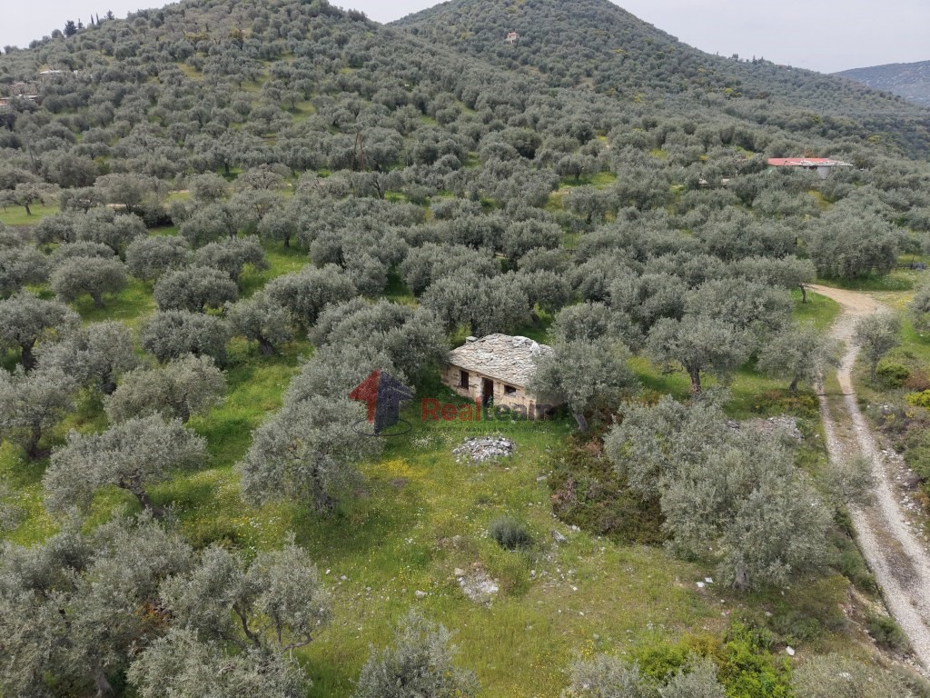 Μονοκατοικία 33 τ.μ. προς πώληση, Νέα Ιωνία Βόλου