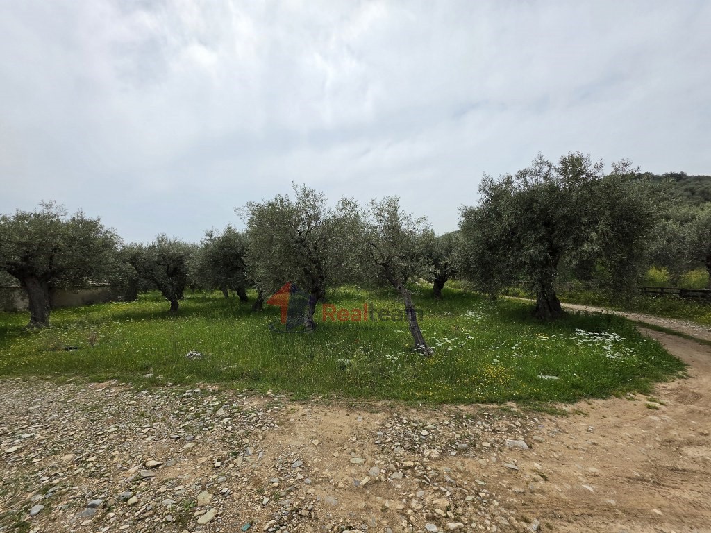 Μονοκατοικία 33 τ.μ. προς πώληση, Νέα Ιωνία Βόλου