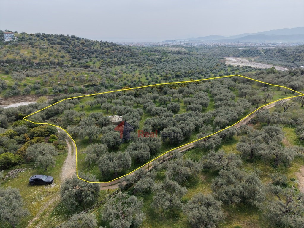 Αποθήκη 33 τ.μ. προς πώληση, Νέα Ιωνία Βόλου