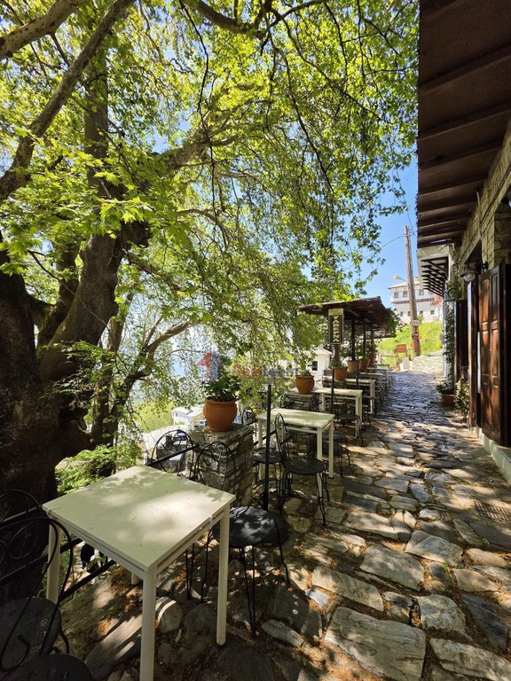 Μονοκατοικία 198,50 τ.μ. προς πώληση, Κέντρο Μακρινίτσας