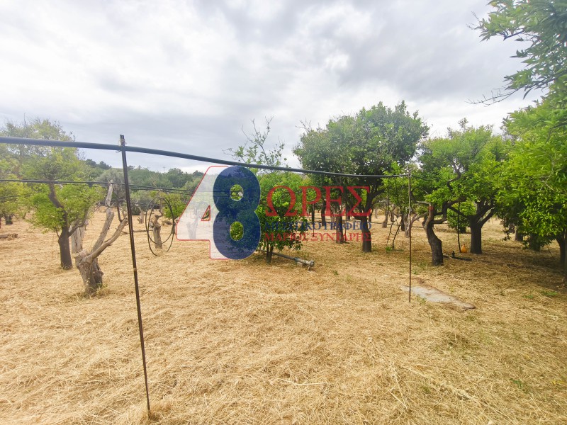 Οικόπεδο 3.236 τ.μ. προς πώληση, Καμποχώρια