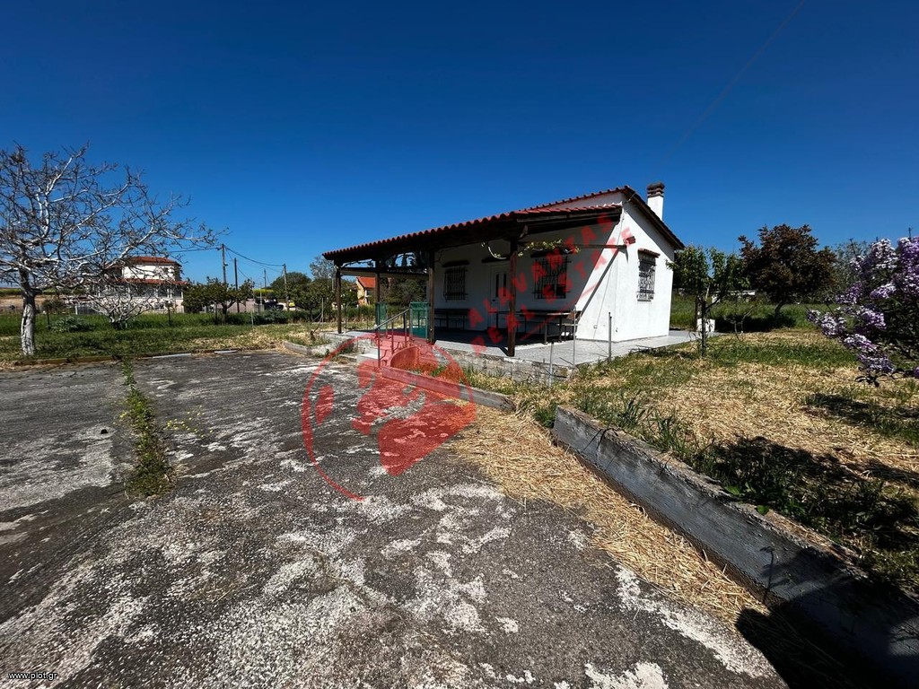 Μονοκατοικία 60 τ.μ. προς ενοικίαση, Νέα Χιλή
