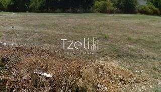 Οικόπεδο 5.000 τ.μ. για πώληση