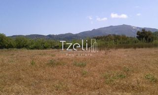 Οικόπεδο 16.000 τ.μ. για πώληση
