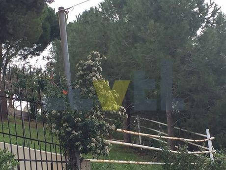 Οικόπεδο 471 τ.μ. πρός πώληση