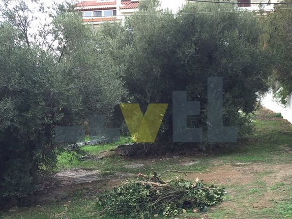 Οικόπεδο 350 τ.μ. για πώληση, Αθήνα - Νότια Προάστια, Βούλα