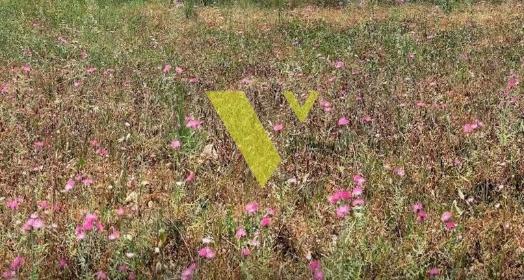 Land plot 1.100 sqm for sale, Piraeus, Kaminia