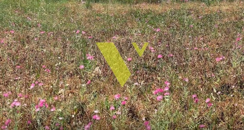 Οικόπεδο 430 τ.μ. πρός πώληση, Αθήνα - Νότια Προάστια, Βάρη- Βάρκιζα