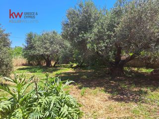 Οικόπεδο 433,54 τ.μ. για πώληση, Ν. Χανίων, Σούδα-thumb-20