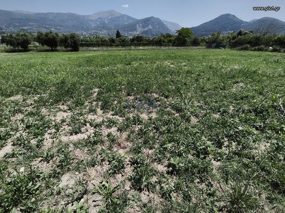 Αγροτεμάχια 3.000 τ.μ. για ενοικίαση, Αχαΐα, Πάτρα