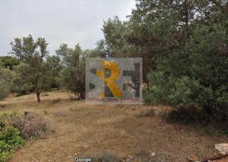 Οικόπεδο 1.005 τ.μ. για πώληση