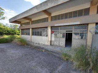 Βιοτεχνικός χώρος 742 τ.μ. για ενοικίαση