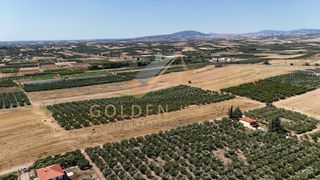 Αγροτεμάχια 6.800 τ.μ. για πώληση