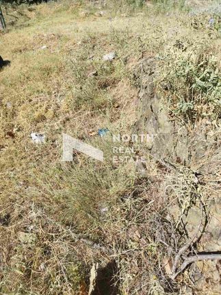 Οικόπεδο 321 τ.μ. για πώληση, Χαλκιδική, Πολύγυρος