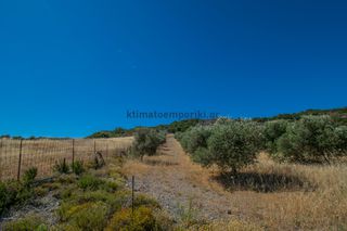Μονοκατοικία 40 τ.μ. για πώληση, Ν. Ρεθύμνου, Λάμπη-thumb-24