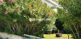 Studio / γκαρσονιέρα 30 τ.μ. προς ενοικίαση, Κράθιο-thumb-12