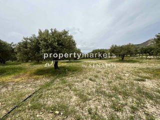 Αγροτεμάχια 3.800 τ.μ. για πώληση, Ν. Λασιθίου, Ιεράπετρα-thumb-1
