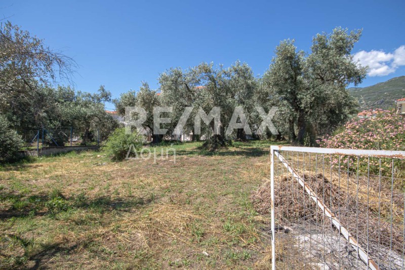 Οικόπεδο 584,92 τ.μ. πρός πώληση, Μαγνησία, Αγριά