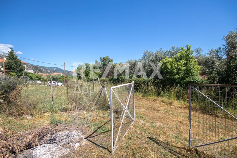 Οικόπεδο 584,92 τ.μ. πρός πώληση, Μαγνησία, Αγριά