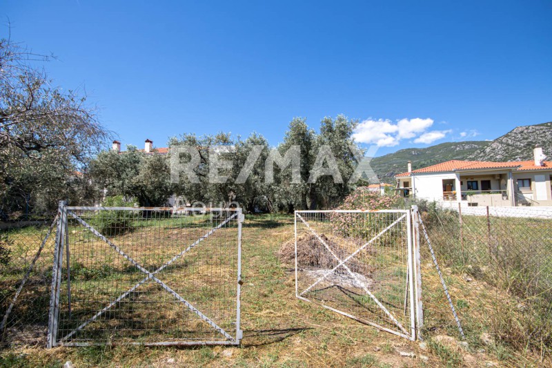 Οικόπεδο 584,92 τ.μ. πρός πώληση, Μαγνησία, Αγριά