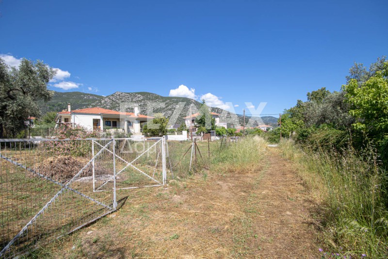 Οικόπεδο 584,92 τ.μ. πρός πώληση, Μαγνησία, Αγριά