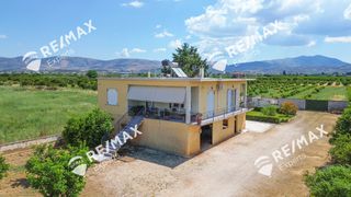 Μονοκατοικία 244 τ.μ. για πώληση, Αργολίδα, Μιδέα-thumb-2