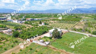 Μονοκατοικία 244 τ.μ. για πώληση, Αργολίδα, Μιδέα-thumb-29
