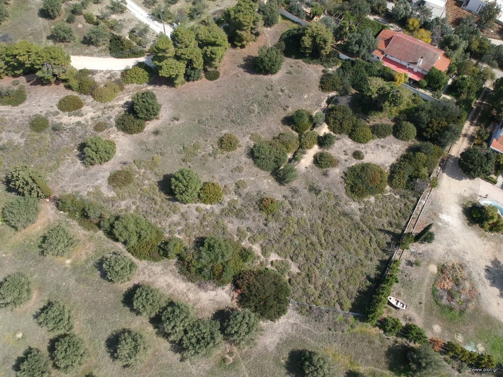 Οικόπεδο 7.450 τ.μ. πρός πώληση, Κορινθία, Λουτράκι-Περαχώρα
