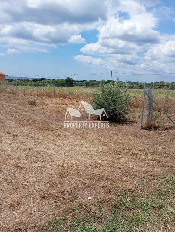 Αγροτεμάχια 700 τ.μ. πρός πώληση, Εβρος, Αλεξανδρούπολη