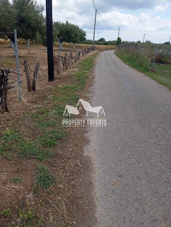 Αγροτεμάχια 700 τ.μ. πρός πώληση, Εβρος, Αλεξανδρούπολη