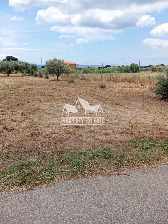 Αγροτεμάχια 700 τ.μ. πρός πώληση, Εβρος, Αλεξανδρούπολη