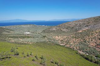 Αγροτεμάχια 3.059 τ.μ. για πώληση, Ν. Καβάλας, Θάσος-thumb-1