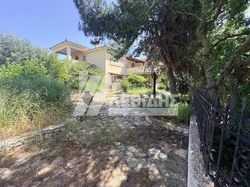Κτίριο 500 τ.μ. πρός πώληση, Ν. Χίου, Χίος