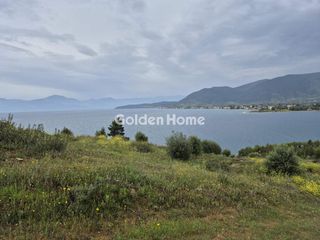 Οικόπεδο 4.100 τ.μ. για πώληση, Φωκίδα, Τολοφώνα-thumb-2