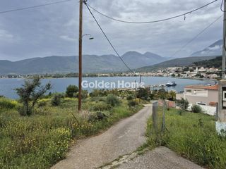 Οικόπεδο 4.100 τ.μ. για πώληση, Φωκίδα, Τολοφώνα-thumb-5