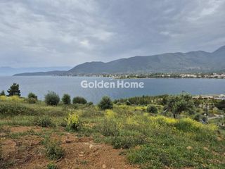 Οικόπεδο 4.100 τ.μ. για πώληση, Φωκίδα, Τολοφώνα-thumb-3