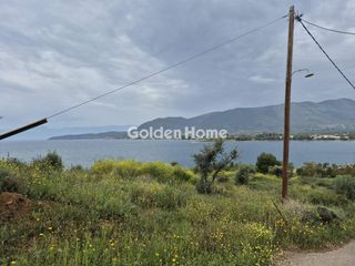 Οικόπεδο 4.100 τ.μ. για πώληση, Φωκίδα, Τολοφώνα-thumb-4
