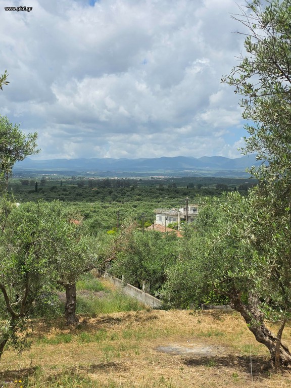 Οικόπεδο 883 τ.μ. για πώληση, Μεσσηνία, Θουρία
