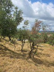 Οικόπεδο 883 τ.μ. για πώληση, Μεσσηνία, Θουρία-thumb-1