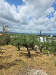 Οικόπεδο 883 τ.μ. για πώληση, Μεσσηνία, Θουρία-thumb-2