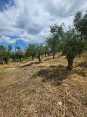 Οικόπεδο 883 τ.μ. για πώληση, Μεσσηνία, Θουρία-thumb-4