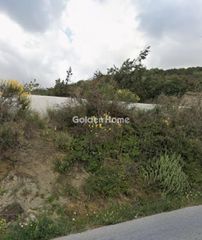 Αγροτεμάχια 5.589 τ.μ. πρός πώληση
