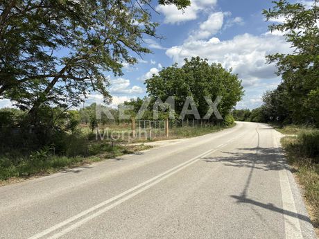 Αγροτεμάχια 6.280 τ.μ. για πώληση